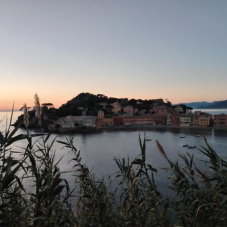 La Vie En Rose Flat Daire Sestri Levante Dış mekan fotoğraf