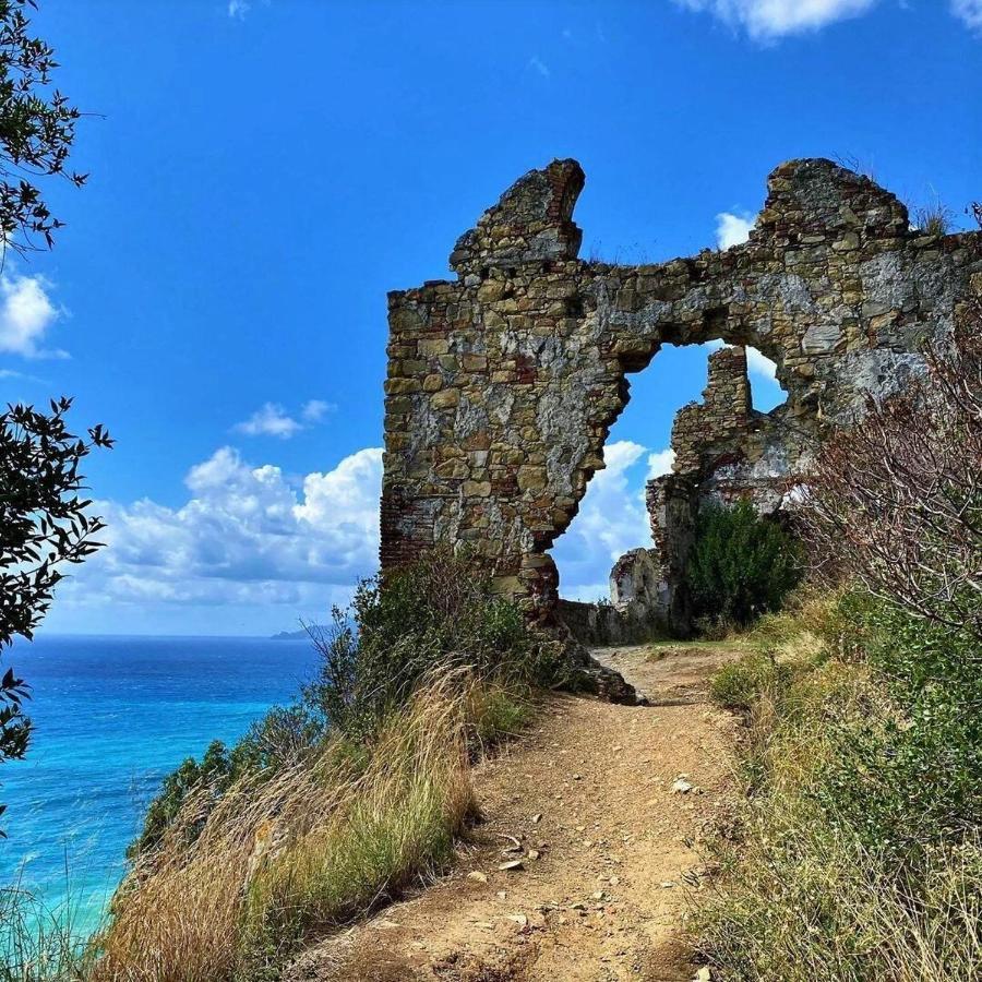 La Vie En Rose Flat Daire Sestri Levante Dış mekan fotoğraf