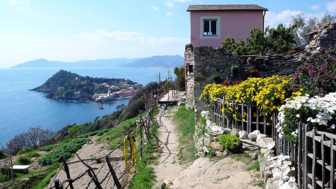 La Vie En Rose Flat Daire Sestri Levante Dış mekan fotoğraf