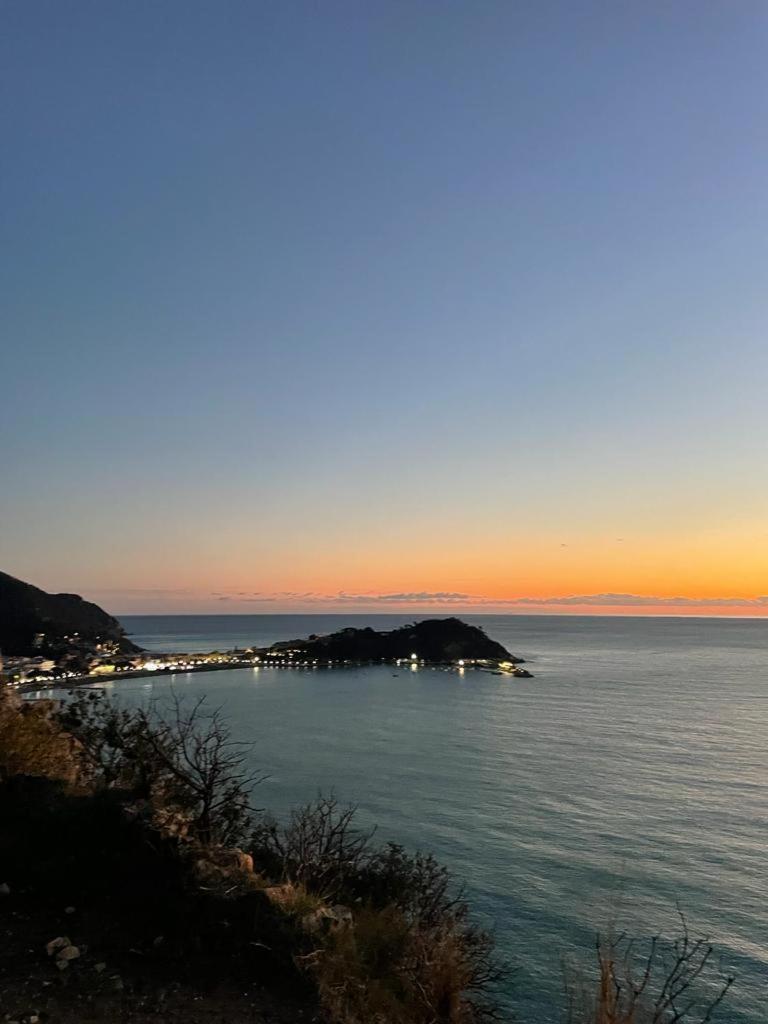La Vie En Rose Flat Daire Sestri Levante Dış mekan fotoğraf