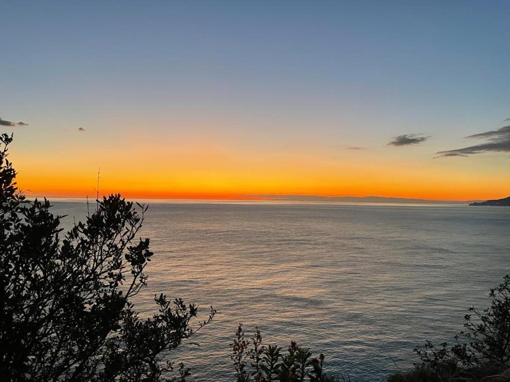 La Vie En Rose Flat Daire Sestri Levante Dış mekan fotoğraf